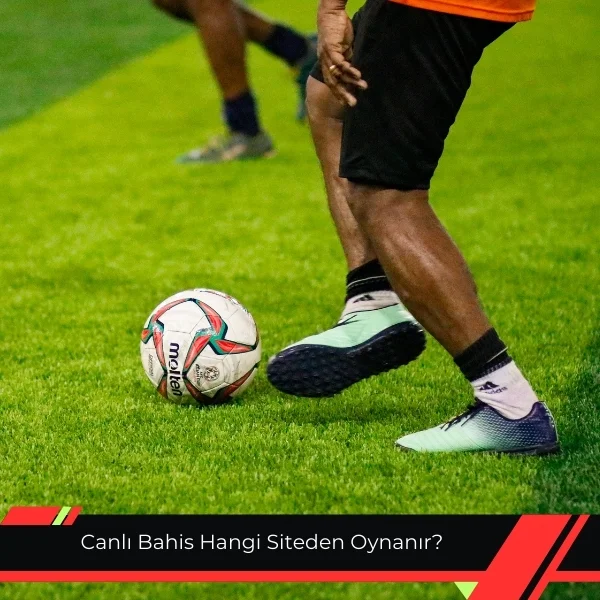 Canlı Bahis Hangi Siteden Oynanır