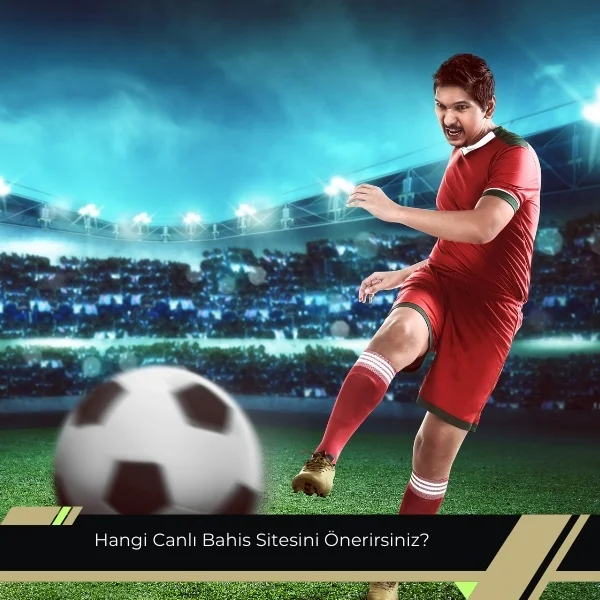 Hangi Canlı Bahis Sitesini Önerirsiniz